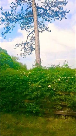 kisi ke izzat #reels #trending #tiktok #youtube #youtubeshorts #new #fyp #allah #uk #nature #tilawat