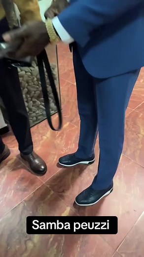 Vidéos de Samba peuzzi culture (@sambapeuzzi_culture) avec son original - Samba peuzzi culture