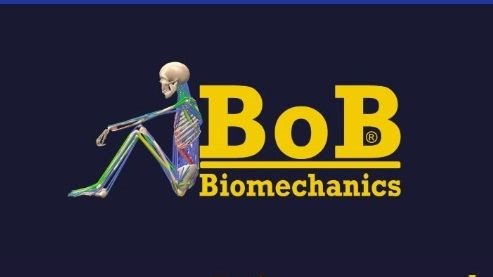 生物力学骨肌分析软件—BOB（Biomechanics of Bodies）的简单介绍