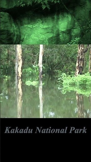 Kakadu National Park Didgeridooシリーズ no4 #didgeridoo #traveling #australia #kakadu