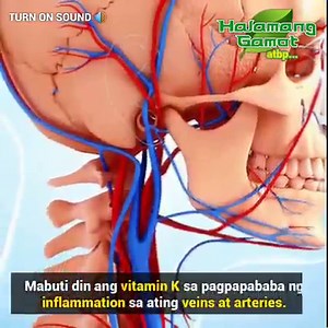 Mga Gulay Na Nagpapalakas Sa Ating Puso | Halamang Gamot