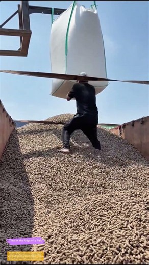 Unloading Grain with Gusto: How Manual Labor Keeps Supply Chains Moving