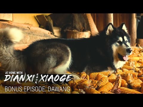 Bonus: The Story Behind Dianxi Xiaoge’s Dog—Dawang