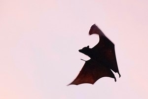 How Not to Plan a Polyamorous Vacation