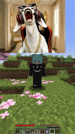 goat vs lqavis #minecraft
