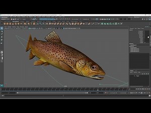Animating a Fish with a sine wave and motion path.