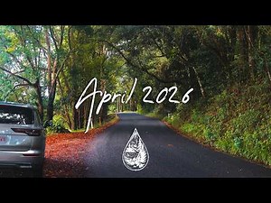 Indie/Rock/Alternative Compilation • April 2026 🚐 (new discoveries | 1.5-hour playlist)