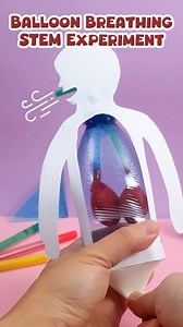 6.4K views · 25 reactions | DIY- Lungs System 贈 working model with...