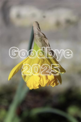 Memorable Moments Captured in My 2025 Photos