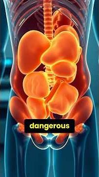 Visceral Fat Explained Simply