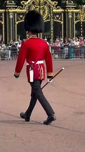 Iconic duty at Britain’s royal landmark 🇬🇧 #london