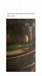 1M views · 4K reactions | Gasoline Powered Memes on Reels | Facebook