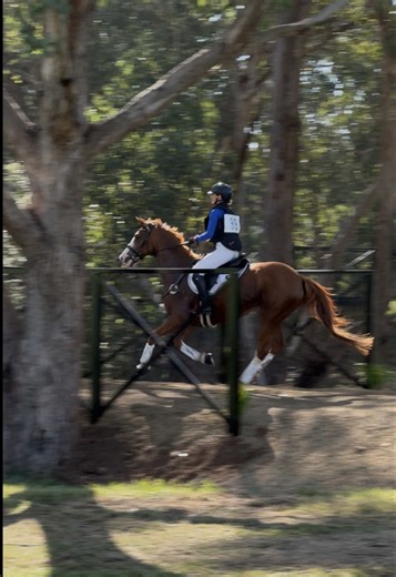 Orange Eventing: Cross Country & Jumping at Wandin International