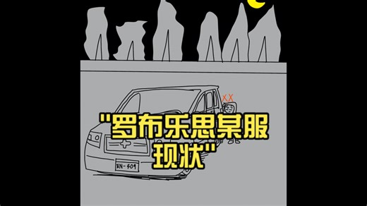 罗布乐思某服现状