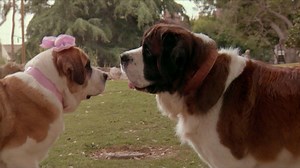 Watch Beethoven's 2nd 1993 full movie on Fmovies