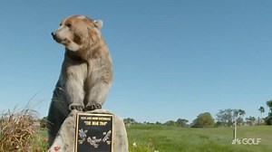 The Bear Trap may be scary, but club fitting doesn't have to be! GOLFTEC shares why getting fit can actually save you money. | Golf Channel