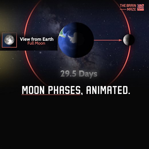 How do Moon phases work? This animation explains the lunar cycle and shows you real-time views of the Moon from space and Earth. | The Brain Maze