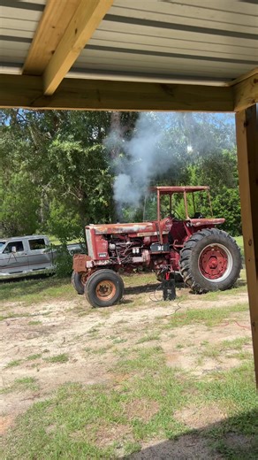 Language Learning: Progress and Setbacks Explained