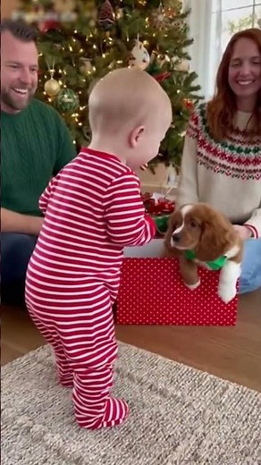 Too Funny To Handle – 100% Certified LOL