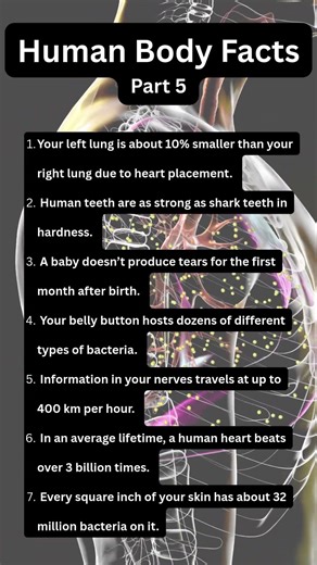 Human Body Facts That Sound Unreal 🤯| part 5