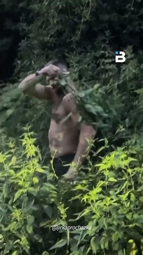 Jiri Prochazka Stinging Nettle Therapy