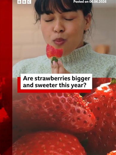 Good news if you love strawberries. #UKWeather #StrawberryPicking #Fruit #News #BBCNews