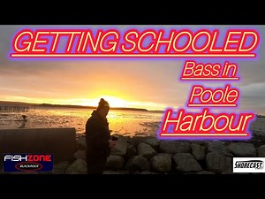 Catch & Release: Extreme School Bass Fishing in Poole Harbour