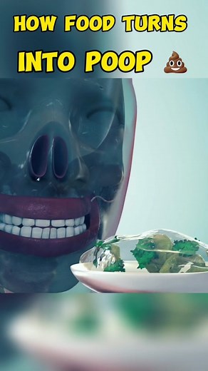 How Food Turns Into Poop Inside Human Body 3d animation#digestivesystem #digestion #humandigestivesystem #foodintopoop #poop #stomach #largeintestine #smallintestine #digestionoffood #medical3danimation #3dmedicalanimation