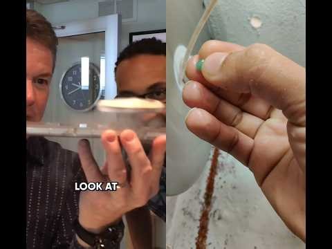 😨 amazing #science #metaldetecting #duet #experiements #scienceexperiment #experimnent #viral