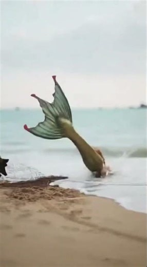 The pet who rescued the mermaid from the thugs. #ai #dogs #mermaid #beach #ruffians #pets