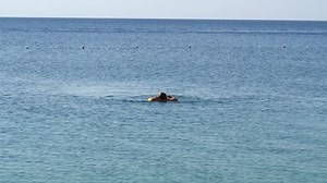 clip-31329904-young-woman-bikini-falls-off-floating-airbed