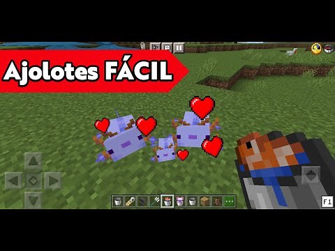 ✅ASI PUEDES CONSEGUIR EL AJOLOTE AZUL EN MINECRAFT PE ✅ Como conseguir el ajolote azul Minecraft BE