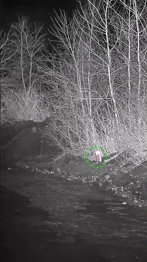 Night Vision at its Best: AGM Spectrum 4k LRF in action