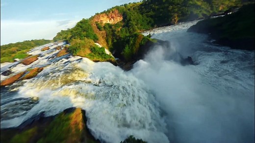 African Wildlife by Drone