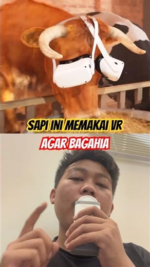 Kok bisa ya #3danimation #funny #film #animation #sapi