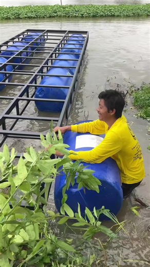 Discover the Principles of Science