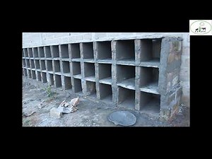 🔵CONSTRUCTION DES ENCLOS & MISE EN PLACE D'UN ELEVAGE D'AULACODES