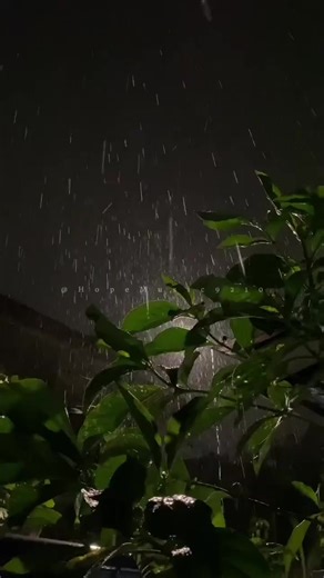 I'll Never Get Over You - Lyrics Video