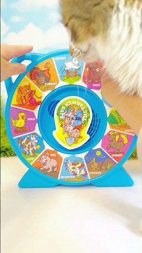 Spinning See N Say Vintage Animals Sounds Toy with Cat