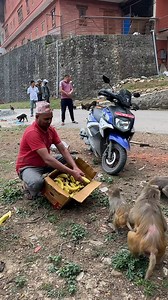 33K views · 825 reactions | Lunchtime with my furry friend #feedinganimal | Feeding Animal - FAF | Facebook