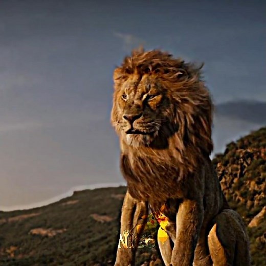 Mufasa the real king...😡💥|Lion King| #lionking #mufasa #simbha #viral #shorts #disney #king