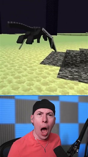 How Did Steve Beat the Game? * Minecraft*