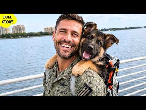 Navy SEAL Rescues a Caged German Shepherd Puppy — Months Later, He’s Finally Loving Life