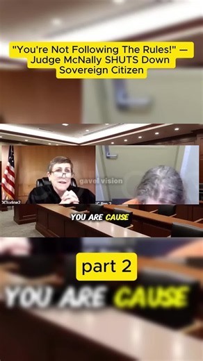 Sovereign Citizen Claims U.S. Laws Don't Apply — Judge DESTROYS Him with One Brutal Reality Check! #SovereignCitizen #CourtroomDrama #Judge #LegalNews #Justice