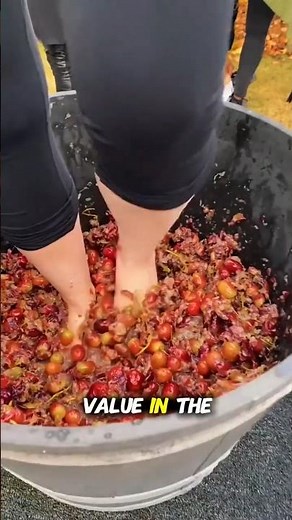 Do They Really Crush Grapes With Bare Feet?