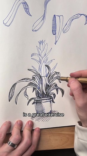 Tap the link in my bio to start the drawing drills course. These leaves get easier when you stop thinking “leaf”… and start thinking ribbon. Each blade is one flowing shape. It bends. It twists. It overlaps. It narrows toward the tip. That’s exactly how a ribbon behaves. Once you understand that, plants become much simpler to draw. You’re no longer guessing every edge. You’re using one repeatable form over and over. Then you vary the angles, lengths, and curves to make it feel natural. One artis