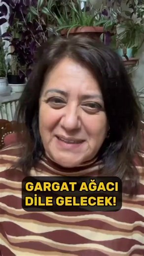 GARGAT AĞACI DİLE GELECEK...🌳Gargat ağacı, İslami eskatolojide (ahiret inancı) kıyamete yakın dönemde gerçekleşeceği rivayet edilen bir savaşa dair hadislerde geçen, Yahudilerin saklanacağı yer olarak betimlenen bir ağaç türüdür. Hadise göre o gün taşlar ve ağaçlar konuşacak, sadece bu ağaç saklananları ele vermeyecektir.Mukaddes Pekin Başdil Anlatıyor.