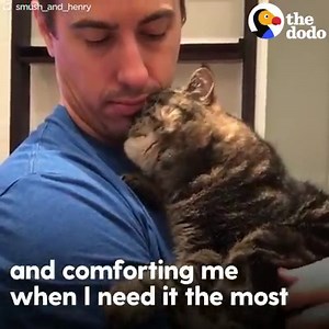1.4M views · 10K reactions | What really happens when you rescue a cat  | The Dodo | Facebook