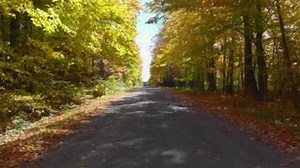 12 reactions | Come see Port Hope's stunning country views, barns, and farm fields during harvest season. Port Hope's branch of the Architectural Conservancy of Ontario created the Barn Quilt Trail to honour historic barns in a unique way. Local artists have collaborated with barn owners to create hand-painted board tiles with traditional quilt borders that bring their stories to life. https://www.visitporthope.ca/en/plan-your-stay/barn-quilt-tour.aspx | Northumberland Tourism | Facebook