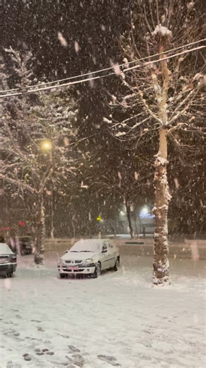 ‎هواشناسی موکریان☔‎ on Instagram‎: "هم اکنون بارش شدید و سنگین برف در بوکان😍❄️☃️✅ #بوکان #مهاباد #سردشت #پیرانشهر #نقده #اشنویه #سقز #ربط #ورمی #بانه #برف #طبیعت #کوه #زمستان #سرما #یخبندان"‎